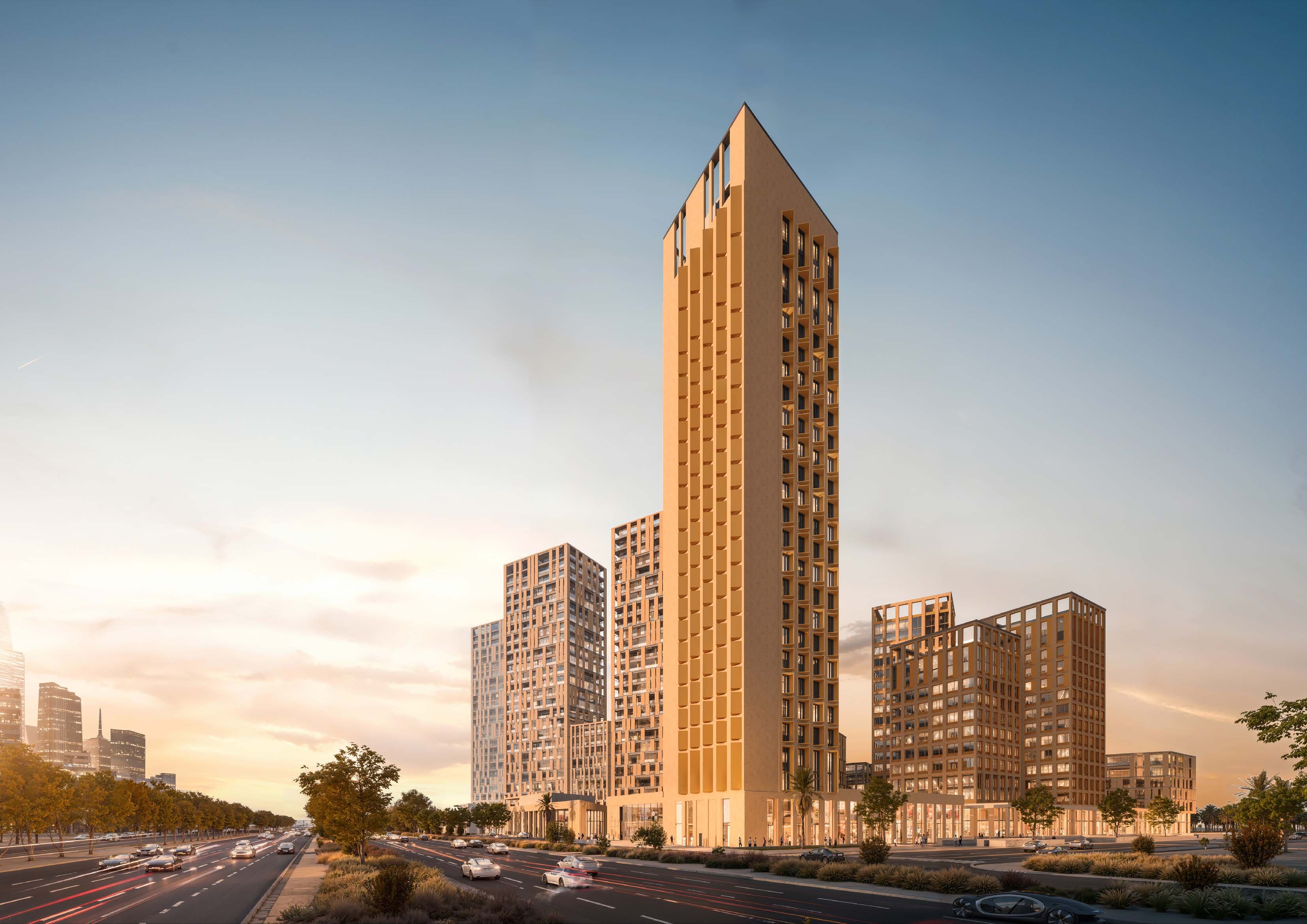 الاستشارة الأولية